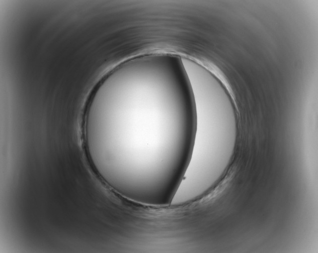 X0000088890997200706080803
