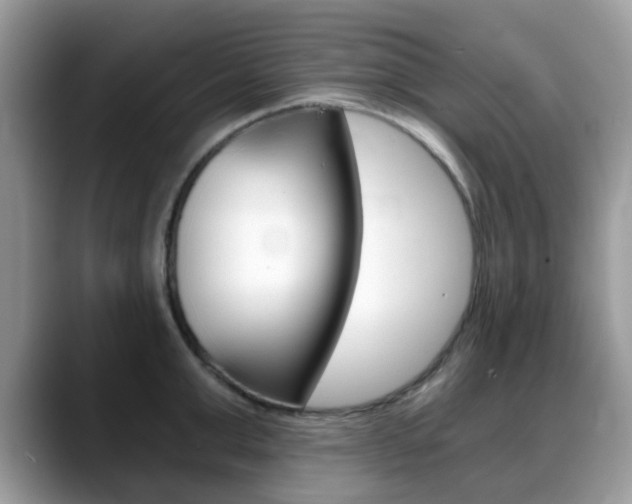 X0000088890999200706080803
