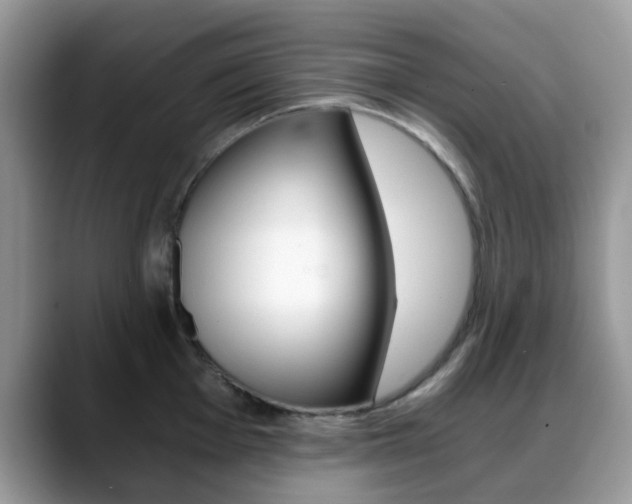 X0000088891001200706080803