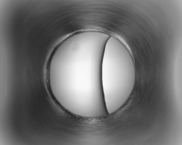 X0000088891003200706080803
