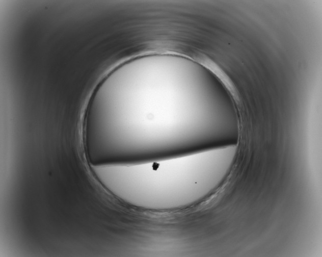 X0000088891004200706080803