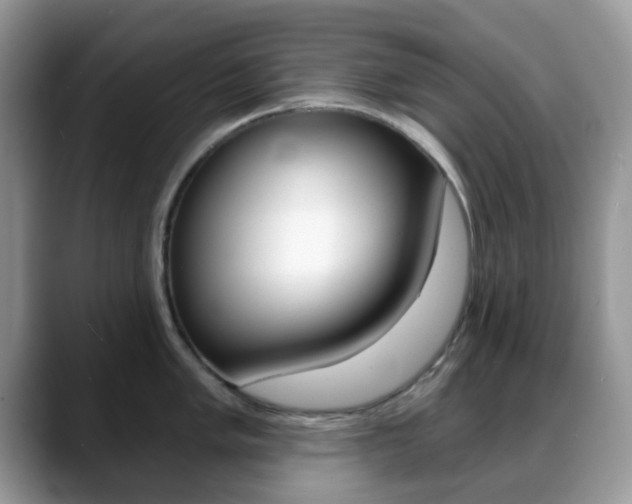 X0000088891005200706080803