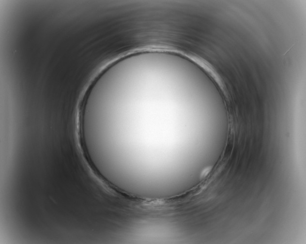 X0000088891006200706080803