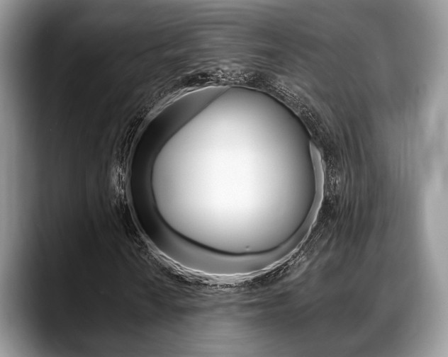 X0000088891010200706080802