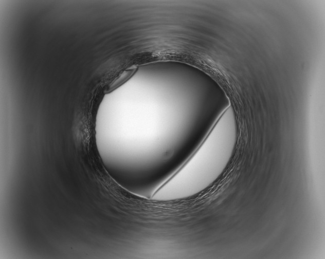 X0000088891012200706080802
