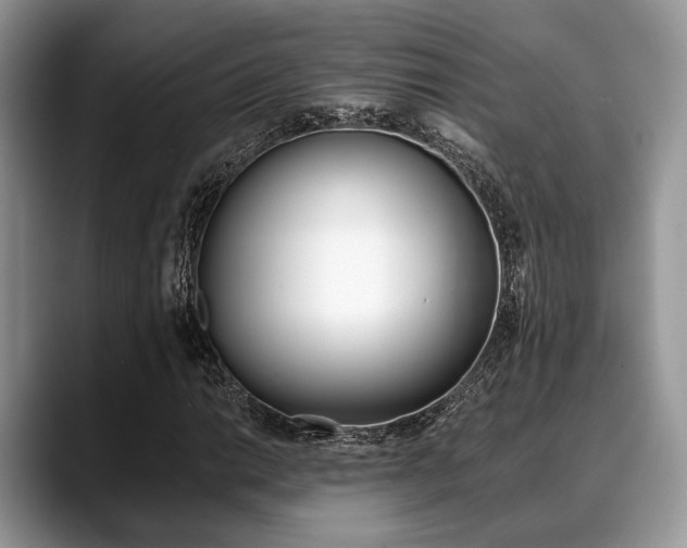 X0000088891014200706080802