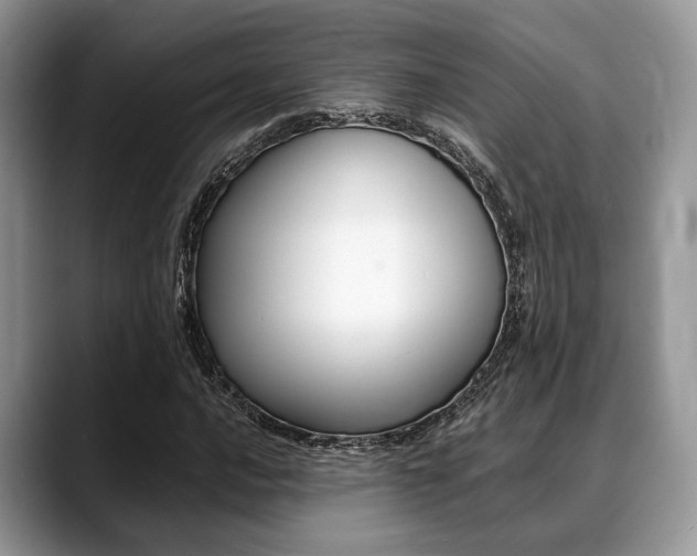 X0000088891016200706080802