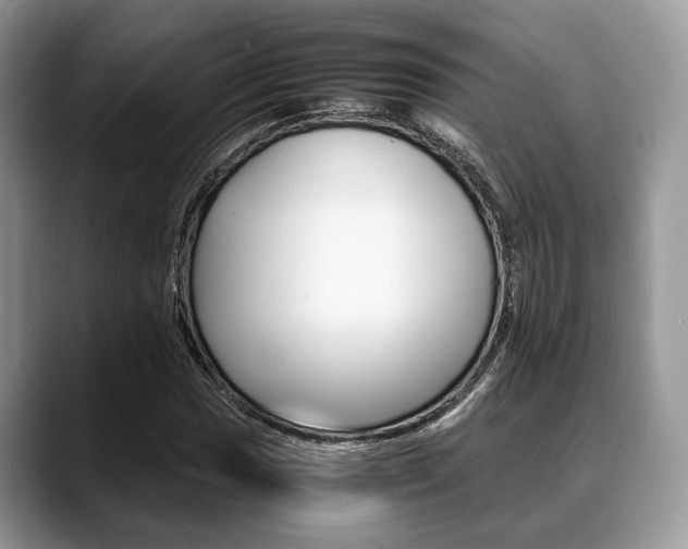 X0000088891017200706080802