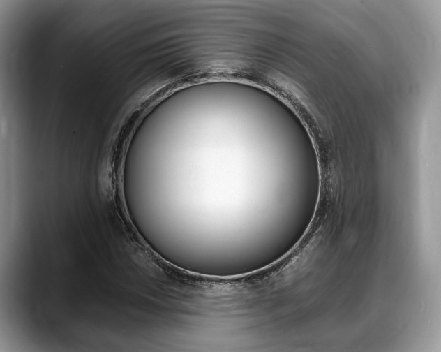 X0000088891018200706080802