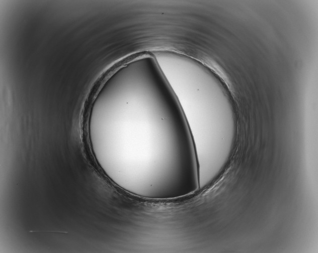 X0000088891020200706080802