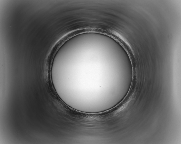 X0000088891021200706080802