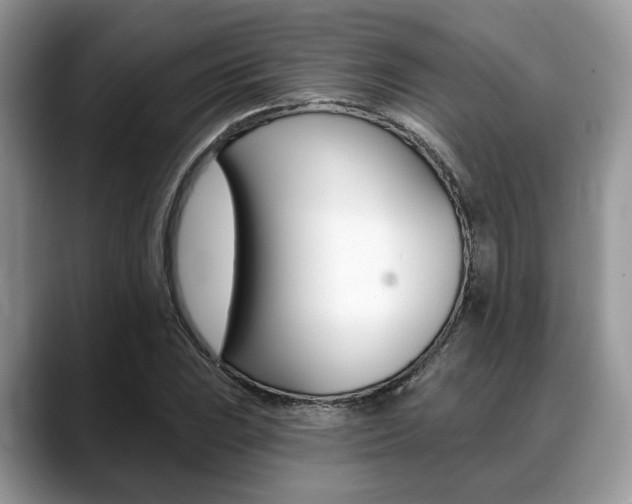 X0000088891023200706080802