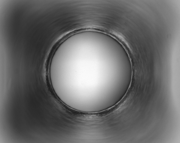 X0000088891024200706080802
