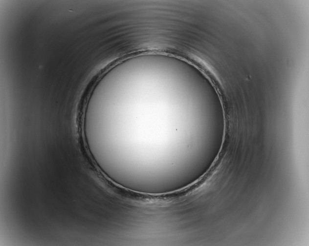 X0000088891026200706080802