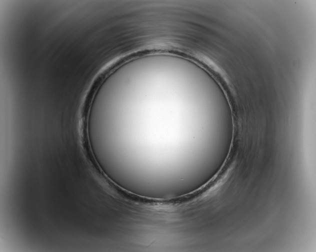 X0000088891029200706080802