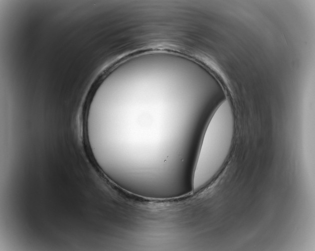 X0000088891032200706080802