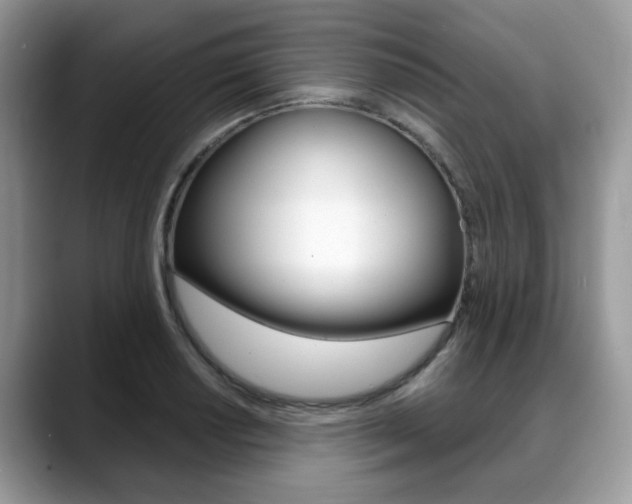 X0000088891034200706080802