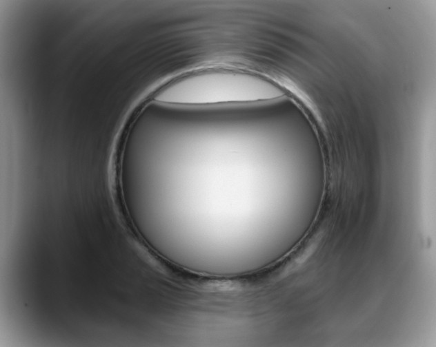 X0000088891037200706080802