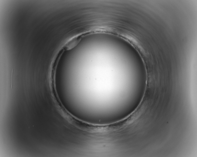 X0000088891038200706080802