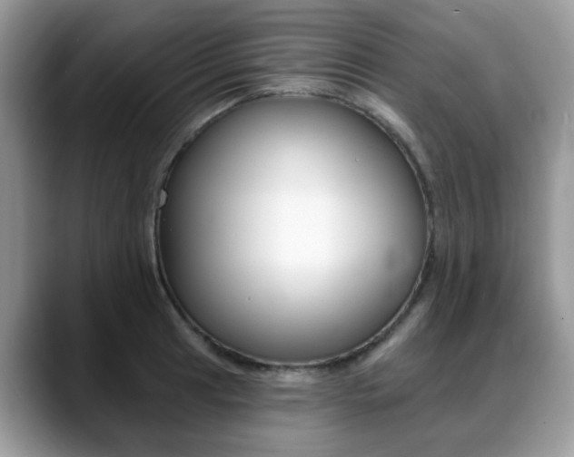 X0000088891041200706080802