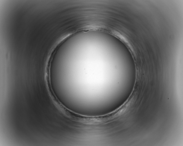 X0000088891042200706080802