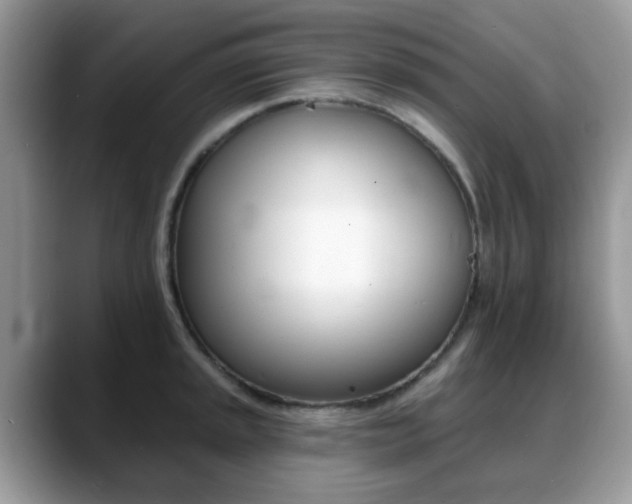 X0000088891045200706080802