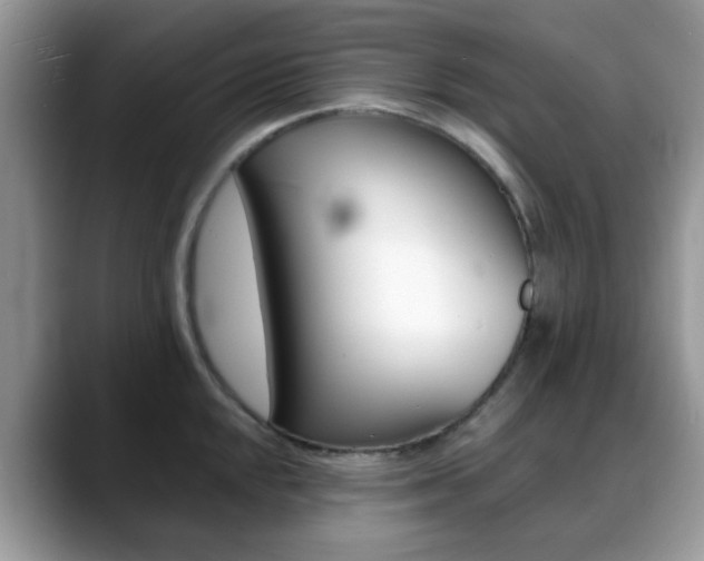 X0000088891048200706080802