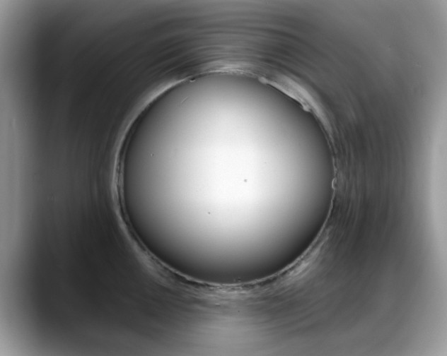 X0000088891050200706080802