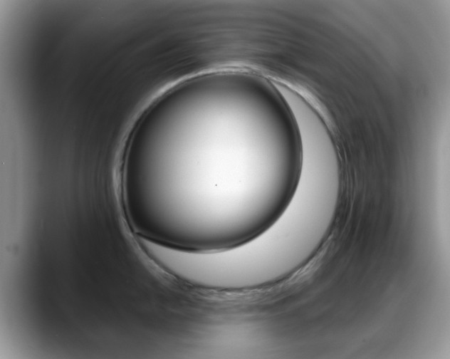 X0000088891054200706080803