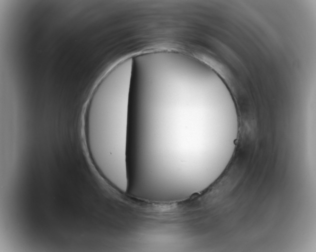X0000088891055200706080803