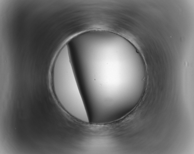 X0000088891056200706080803