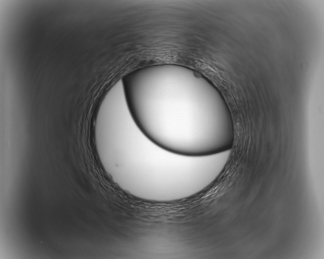 X0000088891057200706080802