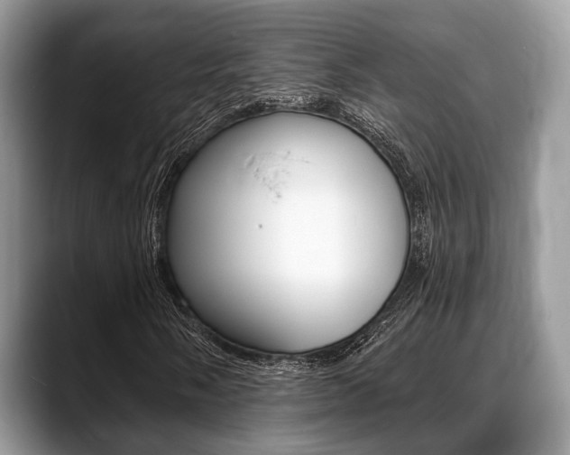 X0000088891058200706080802