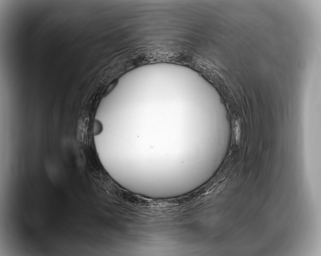 X0000088891059200706080802