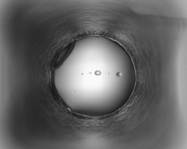 X0000088891061200706080802
