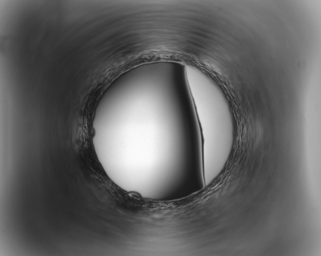 X0000088891062200706080802
