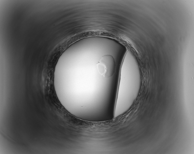 X0000088891064200706080802