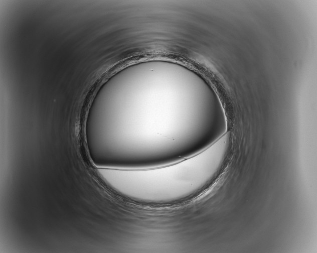 X0000088891065200706080802