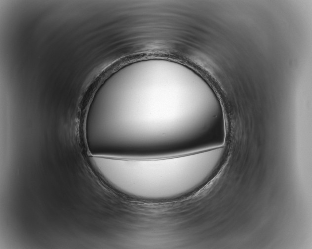 X0000088891066200706080802