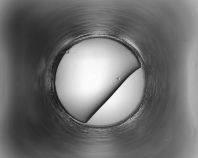 X0000088891067200706080802