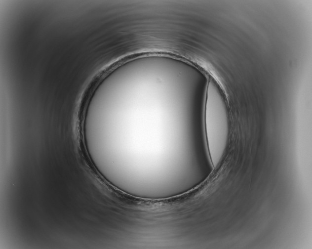 X0000088891072200706080802