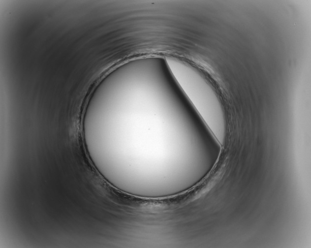 X0000088891073200706080802
