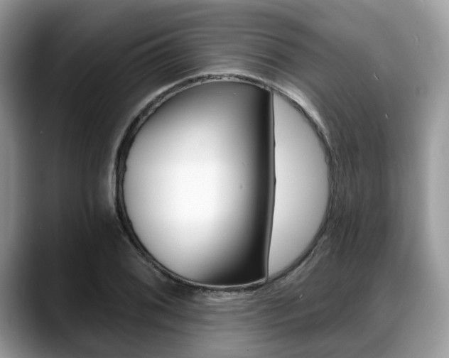 X0000088891076200706080802