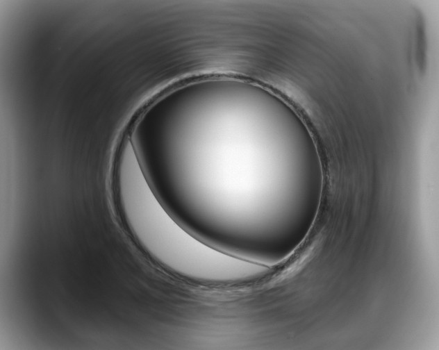 X0000088891077200706080802
