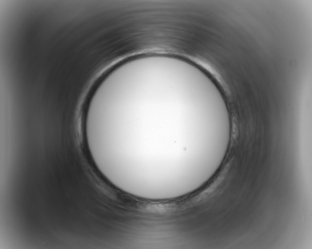 X0000088891078200706080802