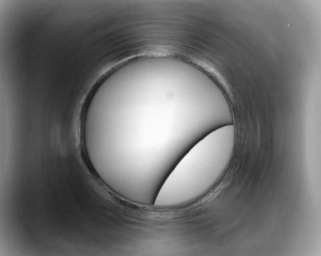 X0000088891083200706080802