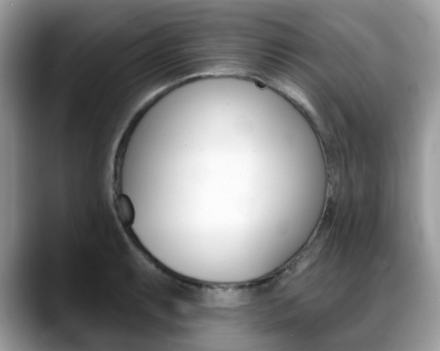 X0000088891087200706080802
