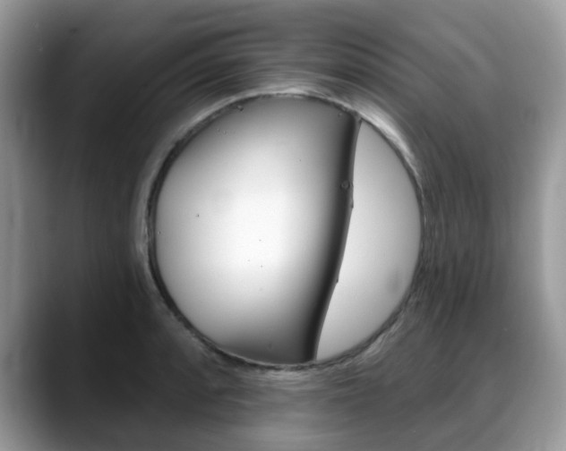 X0000088891088200706080802
