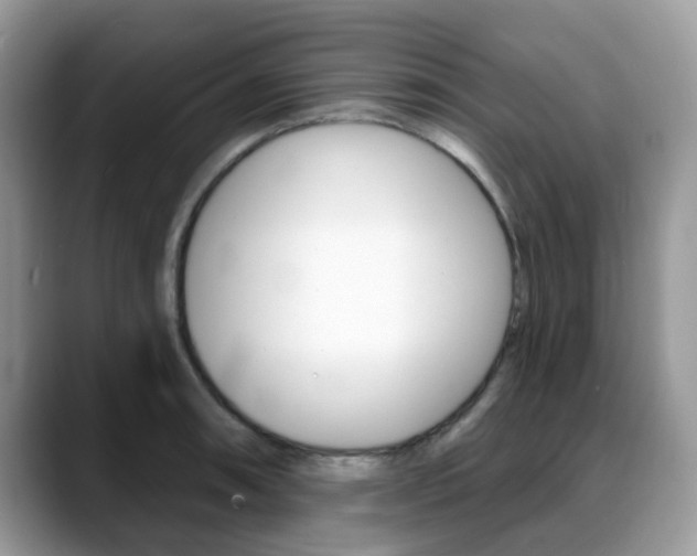X0000088891090200706080801