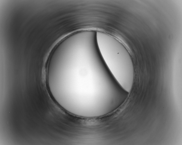 X0000088891092200706080801